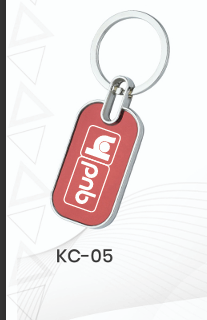 Pnb Keychain