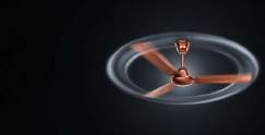 Ceiling Fan additional view