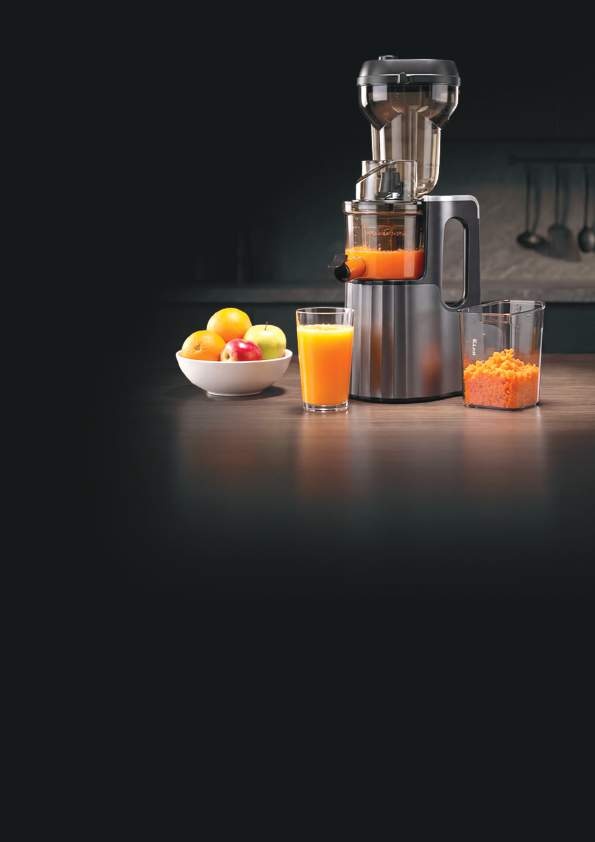 Slow Berry Juicer