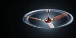 Ceiling Fan additional view